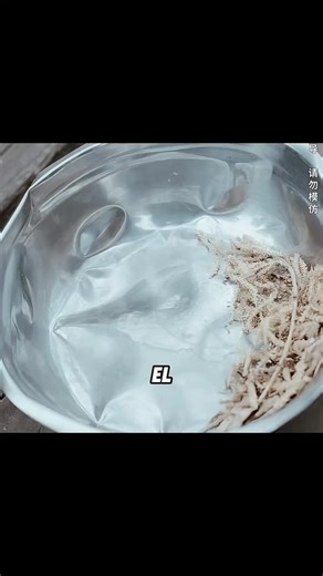 part 1/2 #deci_movie #movierecommendation #moviesummary #resumenesdepeliculas #movie