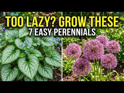 Too Lazy to Garden? Plant These 7 Perennials Now! 😴