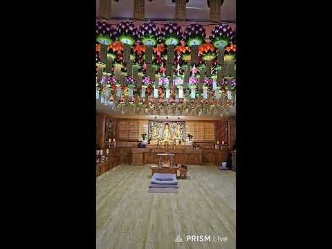 #2026년 #4월 #11일 #새벽예불 #염불명상