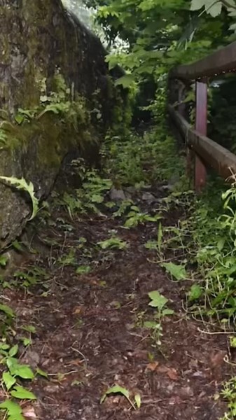 Case Closed (@caseclosedyt)’s videos with original sound - Case Closed