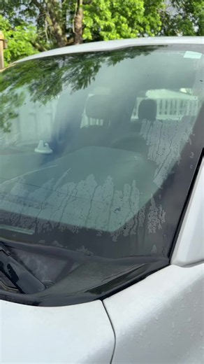 Remove Oil Glare from Car Windshield Quickly