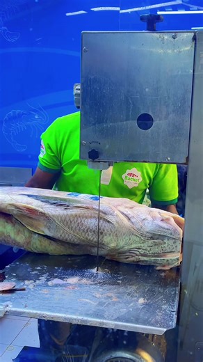 ‏Masha Allah lakka mach cutting