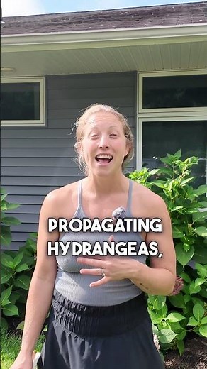 Benefits of Propagating Hydrangeas