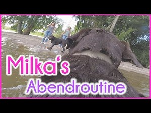 ♡ Milka Mittwoch ♡ Milkas Abendroutine ♡ KaroLovesMilka
