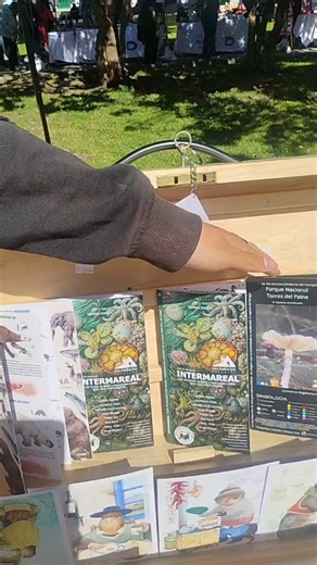 Patagonia Austral TV on Reels