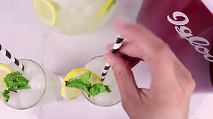 Igloo 26-lb Automatic Electric Countertop Ice Maker - 9 Cubes in 7 Mins, with Scoop and Basket