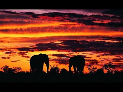 John Barry. "Memorias de África"