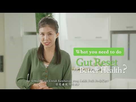 BodyKey Gut Reset Weight Management Programme