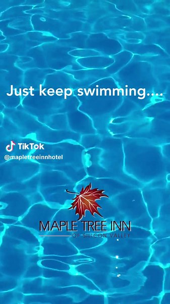 Join us for a refreshing dip in our year-round outdoor pool. Whether you're looking to unwind, exercise, or simply enjoy the California sunshine, our pool is the perfect spot.🌞😎 #Mapletreeinn #Sunnyvale #exercise #dip #outdoorpool #california