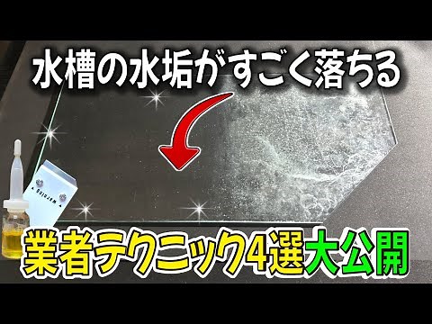 水槽の白い水垢汚れを簡単に除去する掃除テクニック4選を大公開！〜アクアリウムin地球77
