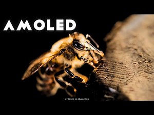 4K AMOLED | OLED | P-OLED Display Test Video with Pure Colors & Deep Blacks