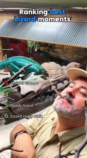 ranking funniest lizard moments 🦎😂 #shorts #funny