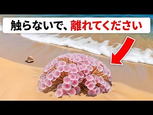 これを見たら？避けるか対処するか！