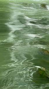 River, Waves, Surface. Free Stock Video