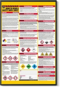 FESOGO Identification How To Read A Safety Data Sheet Computer Education Wall Art Colorful Computing Chart Minimalist Colorful Wall Decor for Home Living Room Bedroom Office Poster UNFRAMED