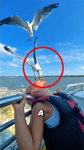 Girl Feeds Seagull From Her Mouth😱