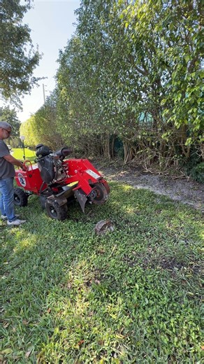 Sound Swap Stump grinder sc362