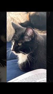 Embrace Balance: Spring Equinox Guided Meditation with Nature by Ted Andrews #SpringEquinox