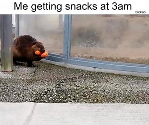 Sneaking to not wake anyone 👀👀👀 | boohoo.com