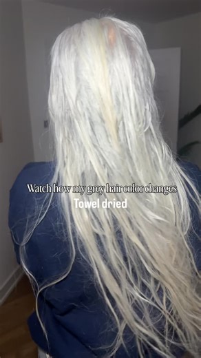 Steff | Silver + Low Tox | Proof that grey hair is a shapeshifter. No toner change or lighting tricks. Just wet vs brushed vs blow-dried. Stay tuned for the next... | Instagram