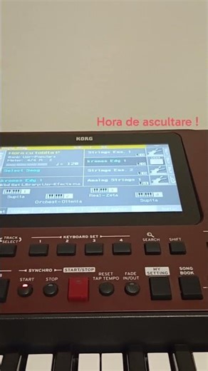 Hora de ascultare /de nunta .korg pa 700 .Sunt începător și caut formație