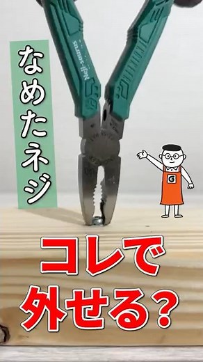 A tool that can easily turn stripped screws!? What is the surprising structure of the Nejisaurus?...