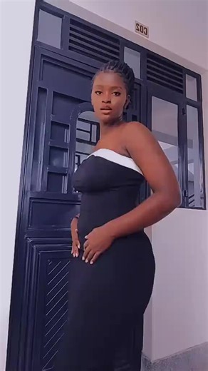 Willy The Transporter (@willythetransporter)’s videos with original sound - Willy The Transporter