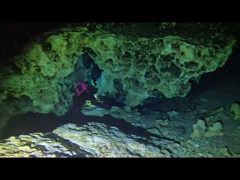 Ginnie Springs Cave Dive Devil's Eye 2 23 2024