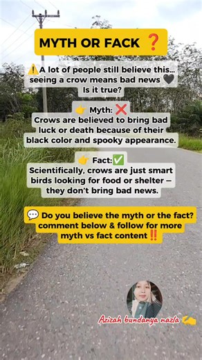 Myth or Fact: Do Crows Bring Bad News? 🖤 #mythorfact #crowmyth #folklore #urbanlegend #didyouknow #interestingfacts #culturalbeliefs #worldmyths #globalcontent #fyp #foryou #didyouknow | Azizah Bundanya Nazla