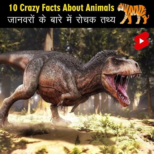 Crazy Facts About Animals 🐸🦘 | Amazing Facts about Animals | Mind Blowing Facts in Hindi #Shorts