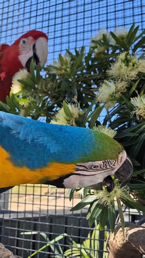 125K views · 2.4K reactions | We are combating these hot days with...