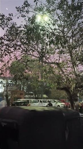 sikho app download kare###shortvideo 👍👍👍👍