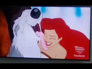 The Little Mermaid | Ariel + Max