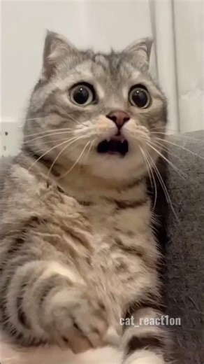 💥 Slip, Fall & FAILS! Ultimate Funny Compilation #😂 When Stunts Backfire HARD | Epic Fails