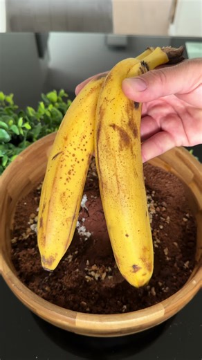 ⸻ ✨ 5 Dakikada Bisküvili Muzlu Rulo Pasta (Fırınsız) Canın tatlı istediğinde kurtarıcı olacak, pratik ve lezzetli bir tarif! 🍫🍌 Kaydetmeyi unutma ❤️ ⸻ 📝 Malzemeler 3 paket bisküvi 2 adet olgun muz 1 çay bardağı süt 3 yemek kaşığı kakao 4 yemek kaşığı pudra şekeri 1 çay bardağı kırılmış fındık (isteğe bağlı) Damla çikolata (isteğe bağlı) Üzeri için: 75 gram beyaz çikolata ⸻ 👩‍🍳 Yapılışı Bisküvileri rondodan geçirip un haline getirin. Üzerine süt, kakao, pudra şekeri ve ezilmiş muzları ekleyi