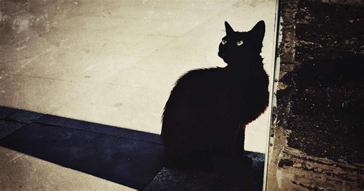 The Curious—and Creepy—Origins of 'Cat Got Your Tongue?' | HISTORY