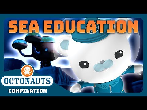 ‪@Octonauts‬ - 🌊 Underwater Sea Adventures 🤿 | 3 Hours+ Full Episodes Marathon