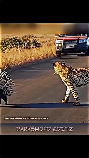 36K reactions · 242 shares | The BMW M3 GTR is an iconic racing car renowned for its exceptional performance aggressive styling Equipment with a potent 4.0- liter V8 engine, it generates over 450 horsepower. | 786 | Facebook