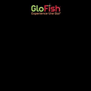 21K views · 127 reactions | Check out all the wonderful GloFish®...