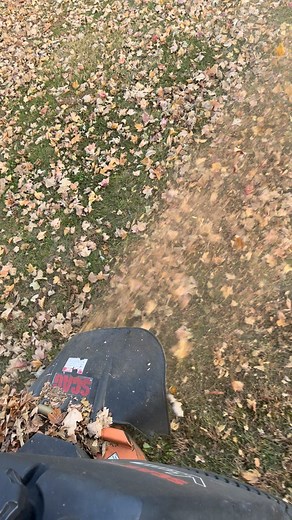 1.2K views | Just installed Gator blades they’re doing an awesome job mulching up these leaves!  Keeping lawns clean and feeding the soil at the same time! Contact me for a free estimate on leaf removal. #propertymaintenance #LeafCleanup #leafremoval #LawnMaintenance #fallcleanup #leavesfalling #mulching #lawnmower | McConnaha's Property Maintenance LLC | Facebook