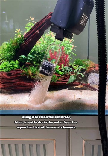 Easy Tips for Maintaining Your Fish Tank