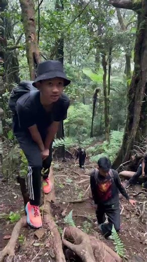 #gunungbatukaru #batukaruhiking #batukarutrekking #pendakiindonesia