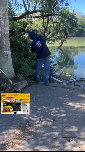 Huge bass deep in the trees on the powerbait chigger craw #fyp #956 #bassfishing #bass #powerbait