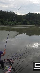짬낚에 월척 3마리 !! #fishing #carpfishing #생활꿀팁 #방조제낚시 #낚시 #carp