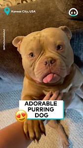 287K views · 10K reactions |  | ViralHog | Facebook