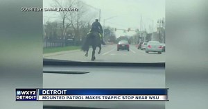 Mounted officer pulls over driver in viral video