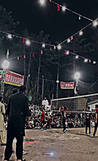 Volleyball World Highlights: Stunning Plays and Skills