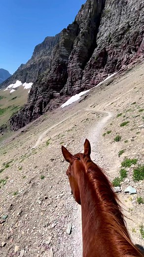 52K views · 2.6K reactions | Nature gallery on Reels | Facebook