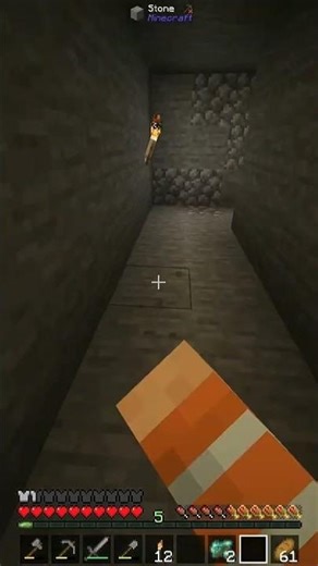 #minecraft #gaming #shorts