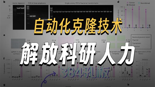 【细胞编辑系列】CRISPR相关文献解读